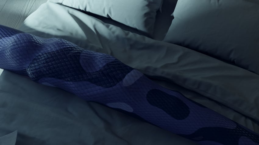3d cryptocrisis digestion digital_media_(artwork) duo female female/female feral hi_res human mammal oral_vore reptile scalie snake snaked stomach_bulge vore