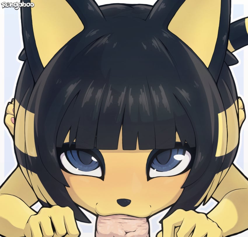 :3 alternate_hair_color animal_crossing animal_ears animal_feet animal_nose ankha ankha_(animal_crossing) artist_name black_eyeliner black_hair blonde_hair blue_background blue_eyes blunt_bangs blush bob_cut body_fur border cat_ears cat_girl cat_tail disembodied_penis english_commentary erection eyeliner fellatio female furry furry_female furry_with_non-furry interspecies light_blush looking_at_viewer lying makeup multicolored_hair nose_blush on_stomach open_mouth oral outline outside_border penis portrait pov rengaboo short_hair sidelocks solo_focus straight straight-on tail two-tone_hair v-shaped_eyebrows watermark white_border white_outline yellow_fur