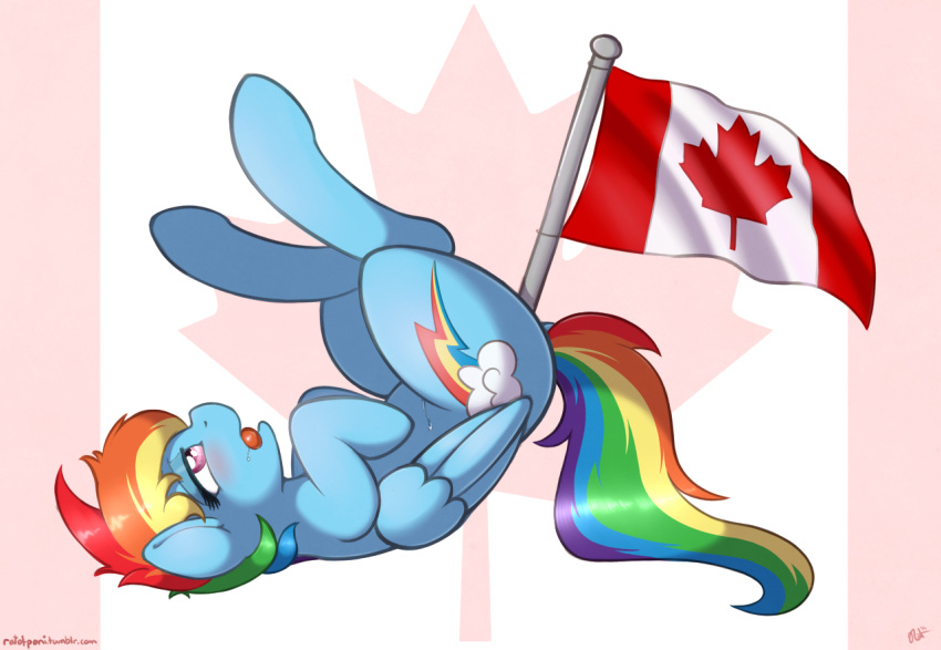 ass_up blue_fur blush canadian_flag cutie_mark dripping equine female feral friendship_is_magic fur hair horse insertion mammal maple_leaf multicolored_hair my_little_pony open_mouth pegasus penetration pink_eyes pony pussy_juice rainbow_dash_(mlp) rainbow_hair raised_tail ratofdrawn saliva shaded solo tongue wings