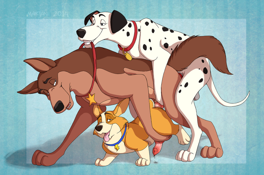 101_dalmatians 2014 all_fours anal anal_sex barefoot canine collar corgi cum cum_on_floor cum_on_penis dalmatian disney doggy_style erection feral feral_on_feral from_behind fur german_shepherd group group_sex gums hi_res looking_back looking_up male male_only mammal marjani multiple_males nude open_mouth orgasm penetration penis raised_leg sex sharp_teeth size_difference standing tagme teeth threesome tongue tongue_out vein veiny_penis yaoi