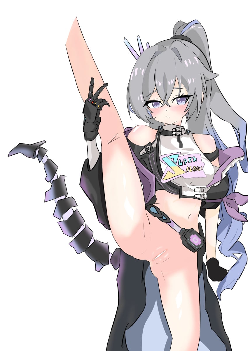 Honkai (Series) Rule 34 Image