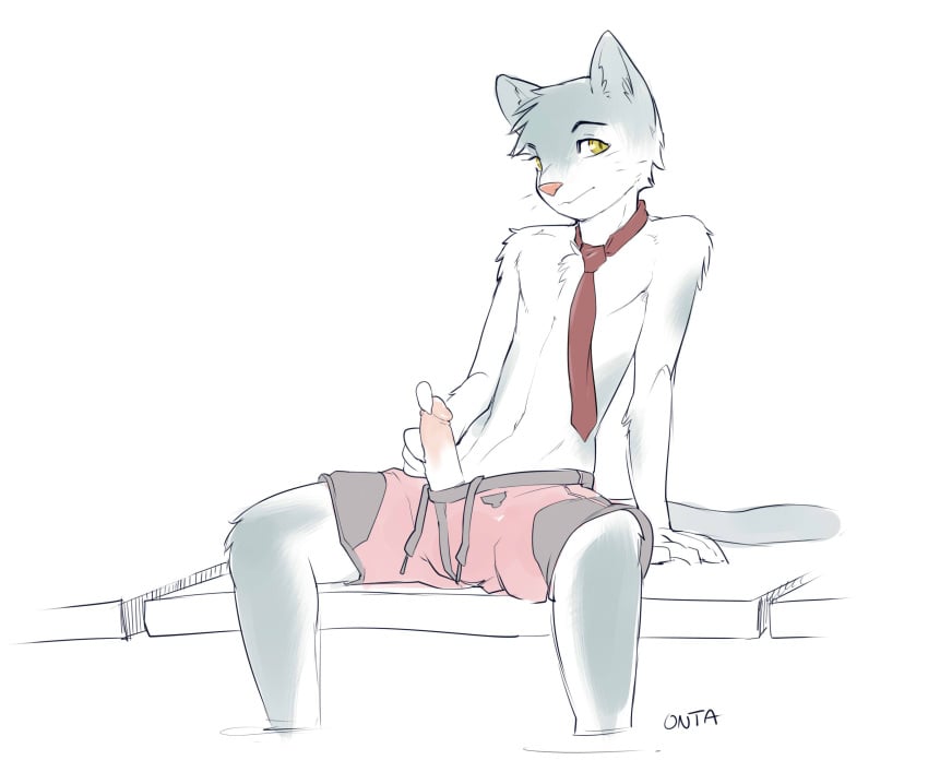 1boy anthro doxy erection feline fur furry girly hi_res looking_at_viewer male male_only mammal necktie onta penis plain_background sitting sketch solo solo_male underwear white_background white_fur yellow_eyes