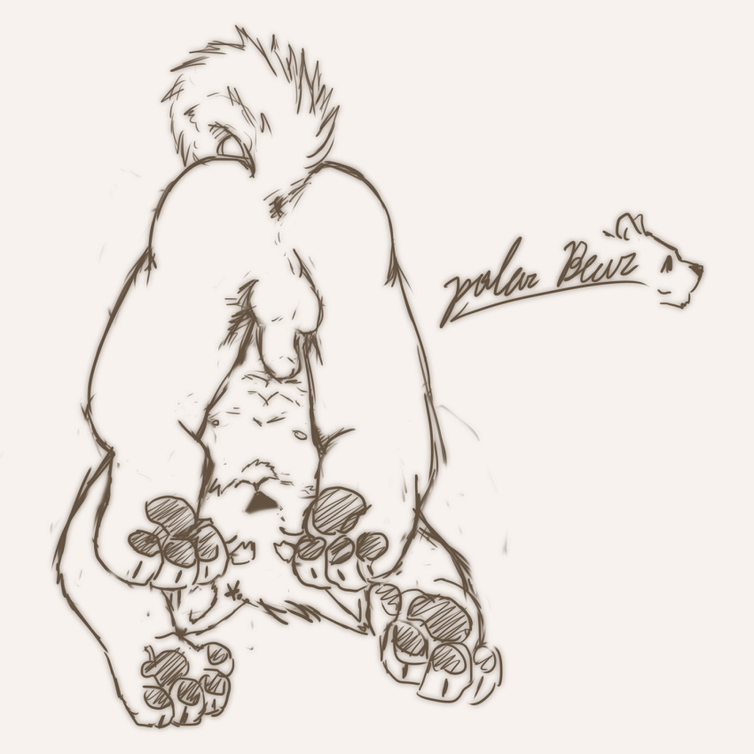 anus ass balls canine happy hindpaw kemono male male_only mammal nipples pawpads paws penis plain_background sketch solo stevenlew upside-down white_background