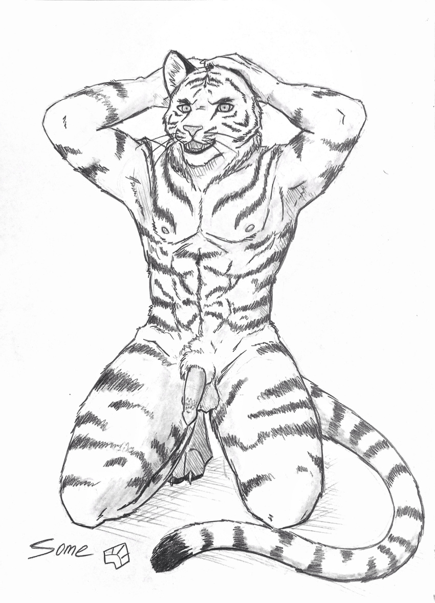 absurd_res anthro balls fangs felid genitals graphite_(artwork) hand_on_head hi_res holding_head kneeling male mammal nipples nude open_mouth pantherine pencil_(artwork) penis short_fur simple_background solo some_(someone) tail teeth tiger traditional_media_(artwork) whiskers white_background