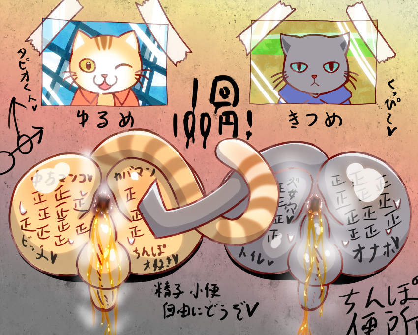 1boy anthro anus balls body_writing feline kuehiko_roshihara male male_only mammal penis solo tapio_chatarozawa text through_wall translation_request urine urine_in_ass watersports working_buddies! wycicus