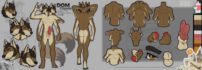 Dom (Coyote-Only) Rule 34 Image