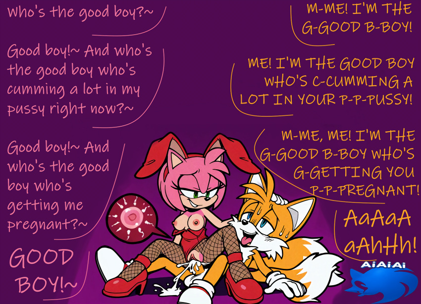 Amy Rose (Sonic (Series)) Rule 34 Image