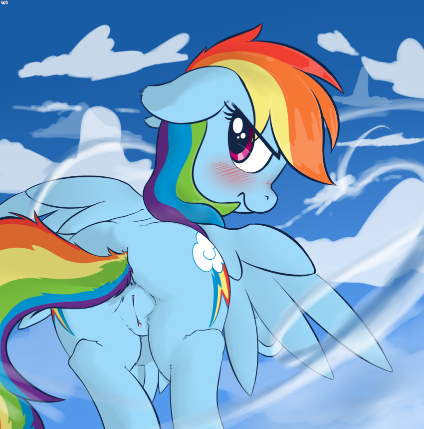 2014 anus ass blue_fur blush cloud cutie_mark equine eyelashes female feral flying friendship_is_magic fur hair mammal mostazathy multicolored_hair my_little_pony outside pegasus purple_eyes pussy rainbow_dash_(mlp) rainbow_hair solo wings