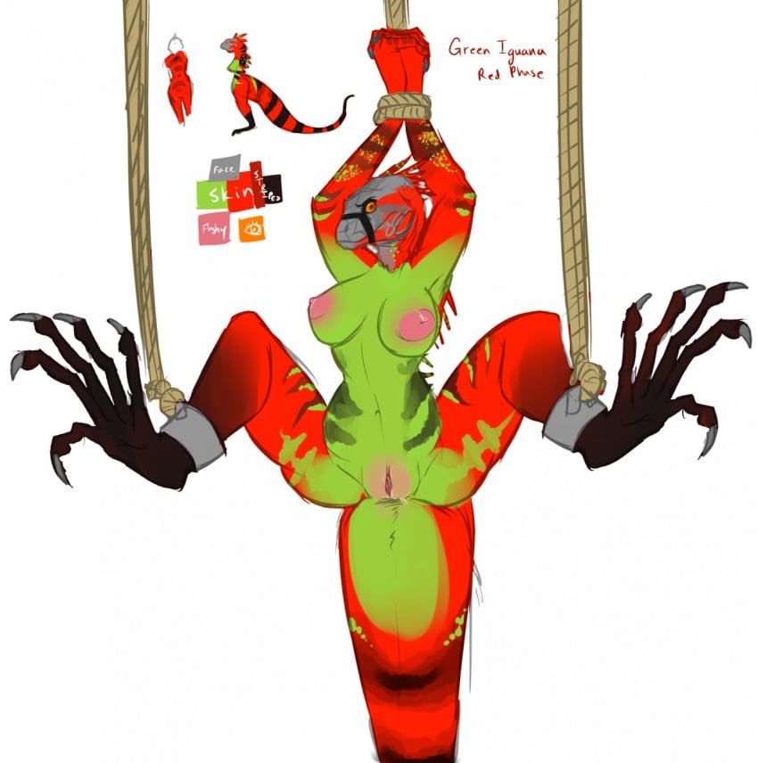 bound female forced iguana lizard paint_(artist) rape reptile scalie suspension