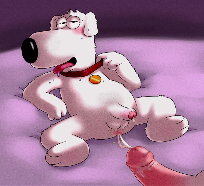 after_sex anal anus balls blush brian_griffin canine cum dibs_(artist) family_guy foreskin gay lying male male_only mammal partially_retracted_foreskin penis sex sweat tongue tongue_out uncut