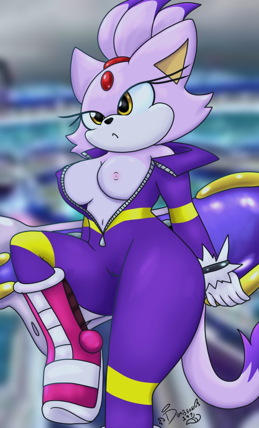 anthro blaze_the_cat bodysuit breasts clothing dumbeon197 extreme_gear female hi_res humanoid sega skinsuit solo sonic_(series) sonic_riders sonic_the_hedgehog_(series) tight_clothing