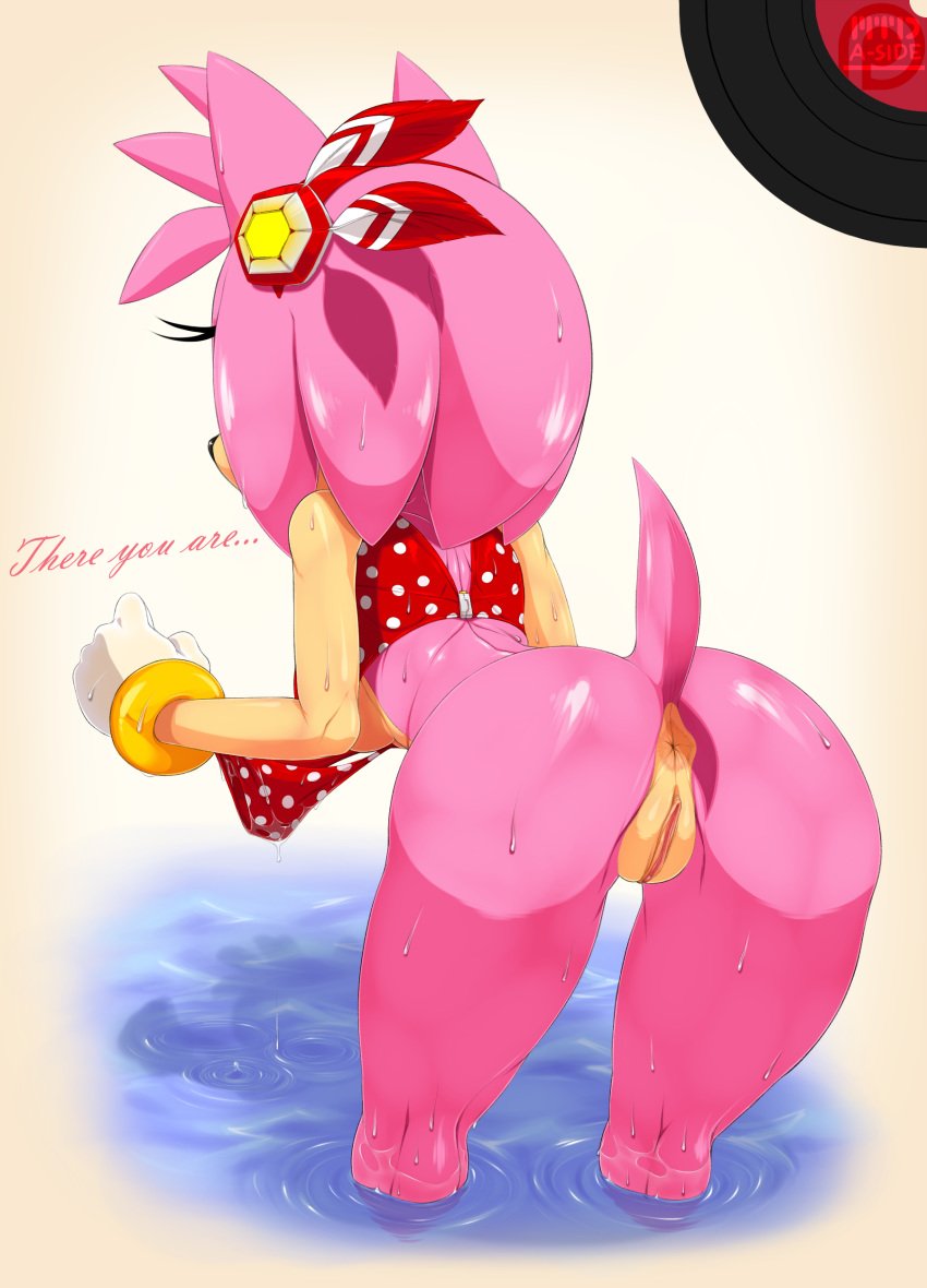 absurd_res amy_rose anus ass bottomless dialogue english_text feathers female female_only fur furry furry_only handwear hedgehog hi_res mammal marthedog mostly_nude naked nude pink_hair pussy rear_view sega solo sonic_(series) sonic_adventure tail text topwear wet