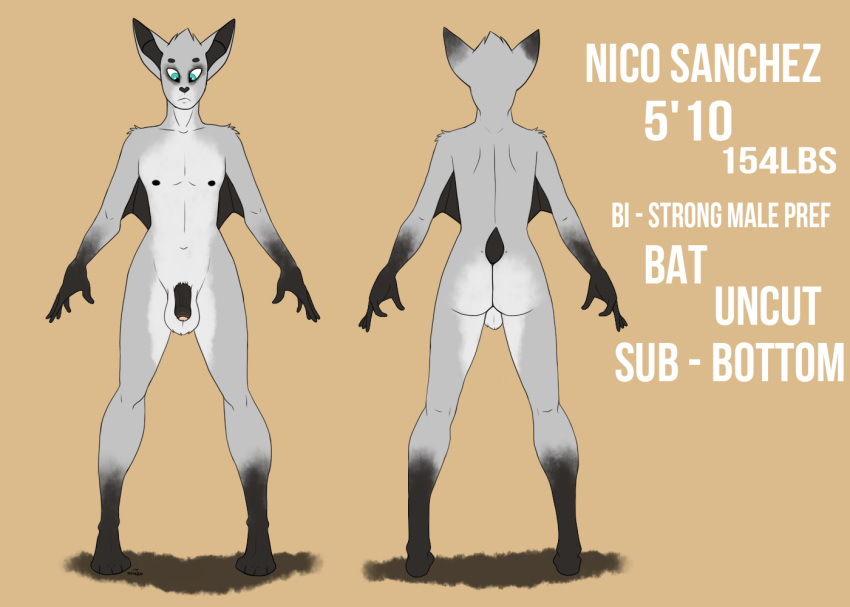 anthro ass balls bat donro furry furry_only gay male mammal model_sheet penis uncut wings