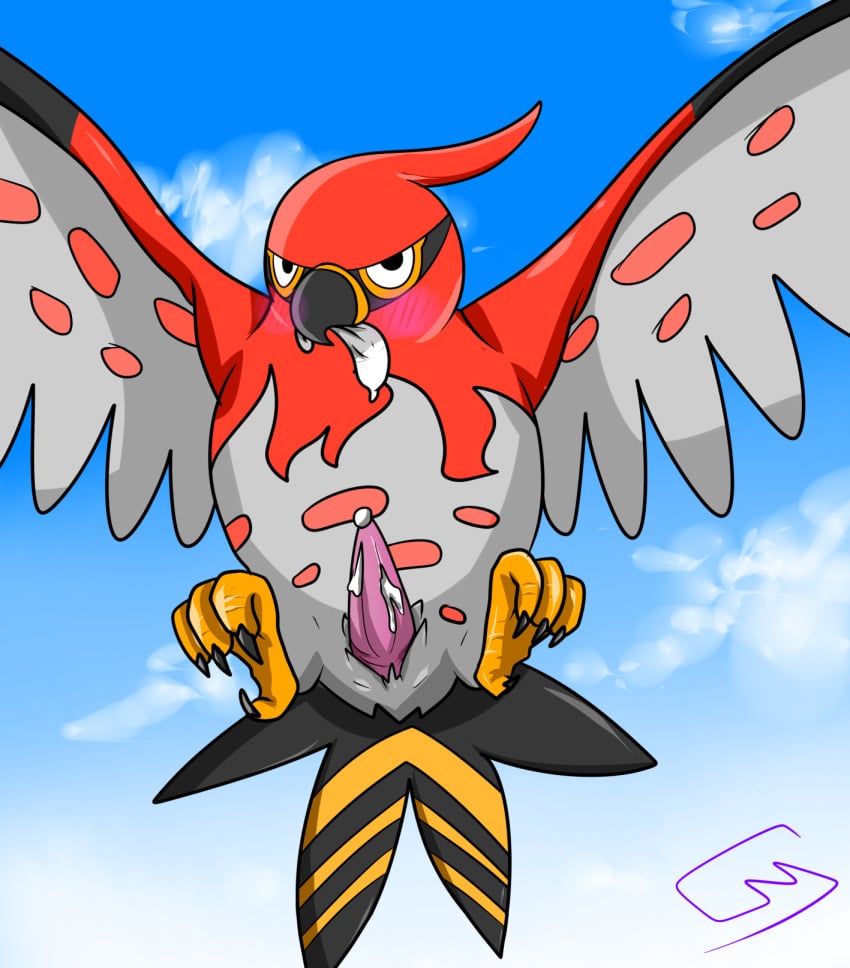 1boy 2014 avian bird cloaca cum erection feral flying front_view looking_at_viewer male male_only nintendo penis pokemon pokemon_(species) rio_(artist) solo talonflame talons tapering_penis video_games