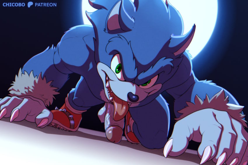 Sonic The Werehog (Sega) Rule 34 Image