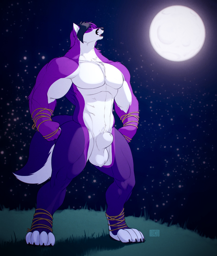 1boy 2014 anthro balls black_hair bng canine claws flaccid fox fur grass hair hindpaw hybrid male male_only mammal moon muscles night nude outside paws penis purple_fur purple_hair sheath short_hair shyloc solo standing stars white_fur wolf