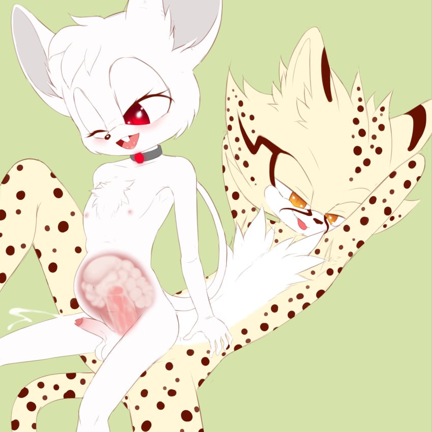 1:1 Rule 34 Image