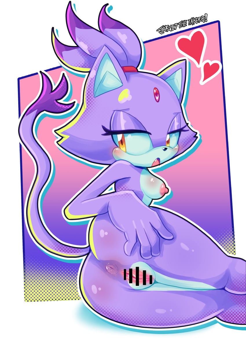 Blaze The Cat (Sega) Rule 34 Image