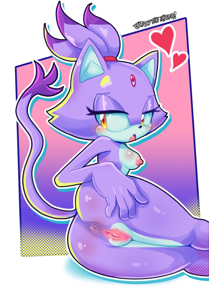Blaze The Cat (Sega) Rule 34 Image