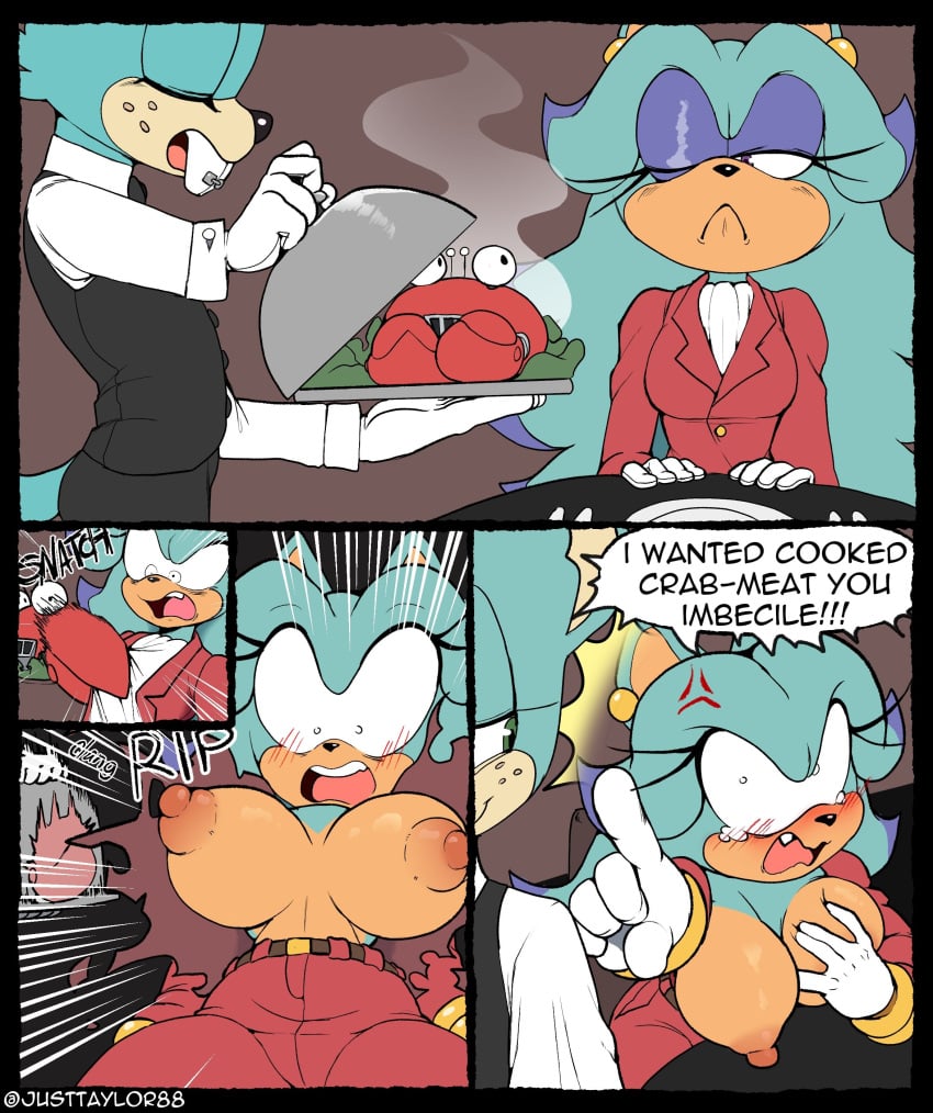Breezie The Hedgehog (Archie) Rule 34 Image