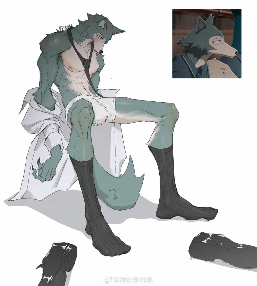 anthro beastars big_feet black_clothing black_footwear black_shoes black_socks blush bulge canid canine canis clothing discarded_clothing feet footwear hi_res legoshi_(beastars) looking_at_bulge male mammal muscular muscular_male necktie runmilkpan shoes_removed simple_background socks solo underwear undressing white_clothing white_underwear wolf