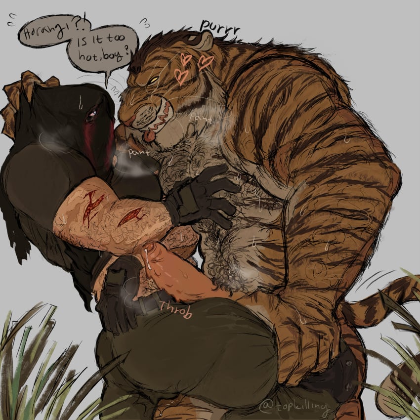 animal_genitalia animal_penis animal_tail anthro_on_human big_cock big_penis call_of_duty furry gay horangi horangi_x_konig in_heat konig konig_(call_of_duty) male muscular muscular_male penis pussy scar size_difference tiger topkilling