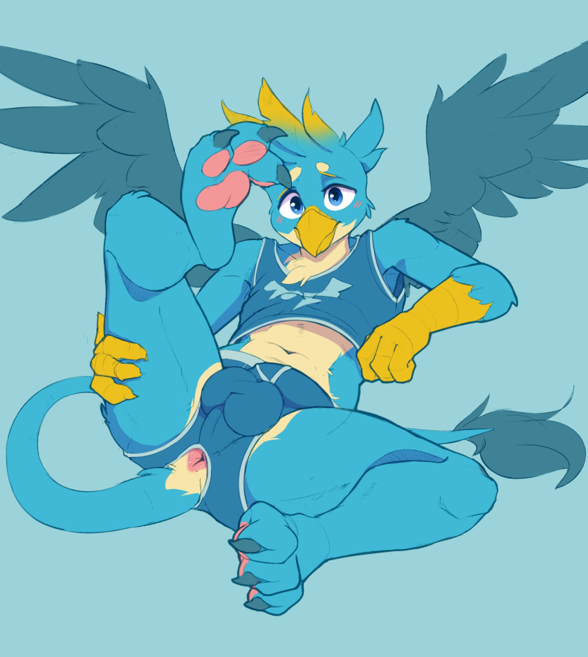 Gallus (Mlp) Rule 34 Image