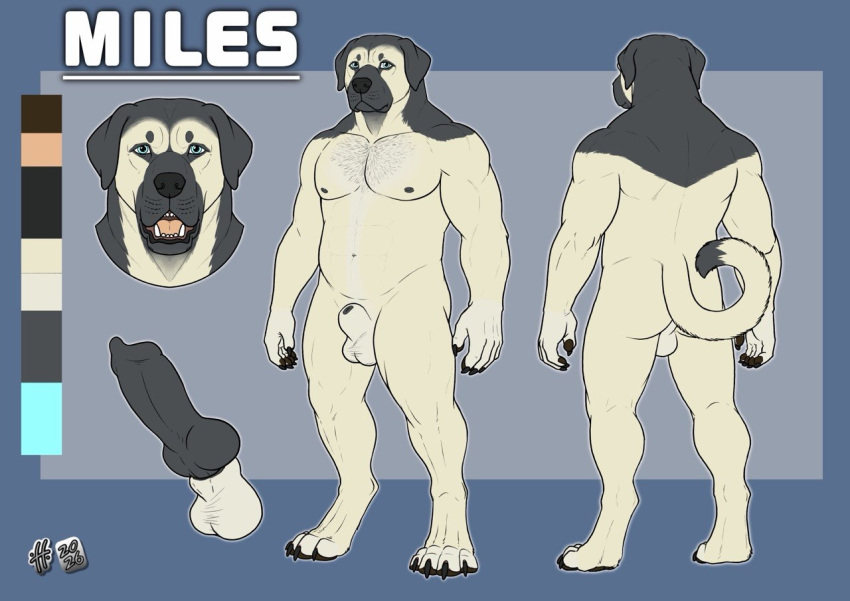Animal Genitalia Rule 34 Image