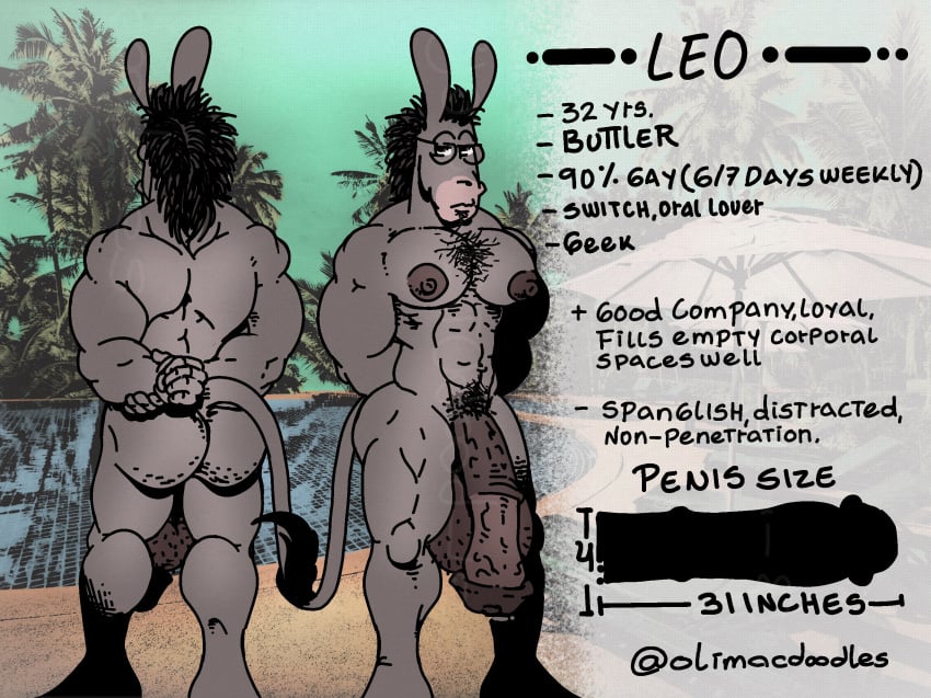 animal_genitalia asinus big_nipples big_pecs big_penis donkey equid equine equine_genitalia female genitals hairy hi_res humanoid leo_(bronze) male male/female male/male mammal model_sheet muscular nipples olimacdoodles pecs penis pinup pose solo