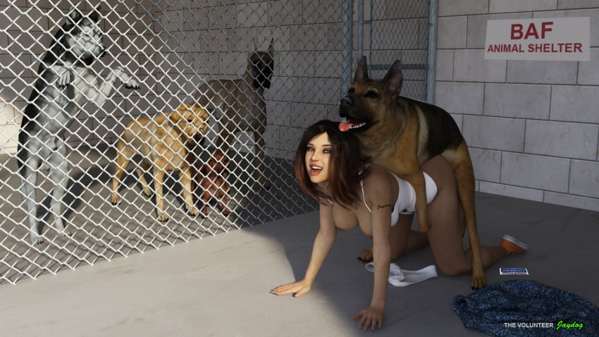 1girls 3d 5animals all_fours ambiguous_penetration artist_name bottomless brown_hair canine clothing_aside doggy_style domestic_dog english_text fence feral feral_on_female hanging_breasts happy_sex jaydog on_ground open_mouth sex shoes sign zoophilia