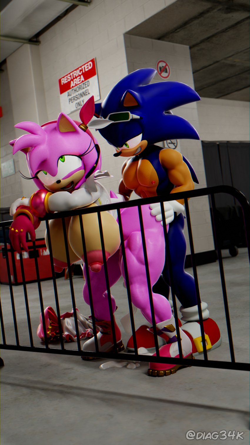 1boy 1girls 3d amy_rose anthro areola big_areola big_breasts big_nipples diag34k exposed_torso footwear fuckgirl handwear highres humanoid muscular_female nipples sega sex sonic_(series) sonic_the_hedgehog sonic_the_hedgehog_(series) tagme