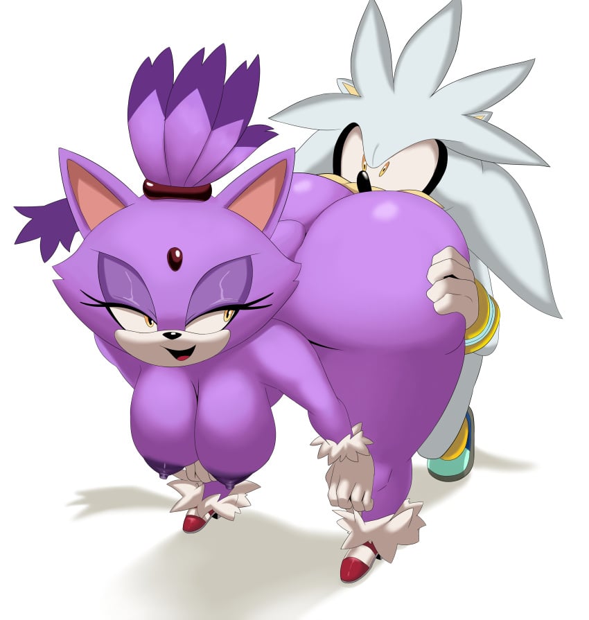 Blaze The Cat (Sega) Rule 34 Image