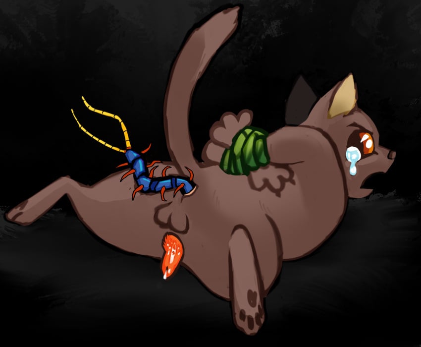 Antpelt (Warriors) Rule 34 Image