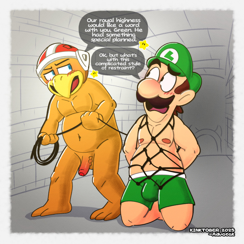 Hammer Bros. (Mario (Series)) Rule 34 Image