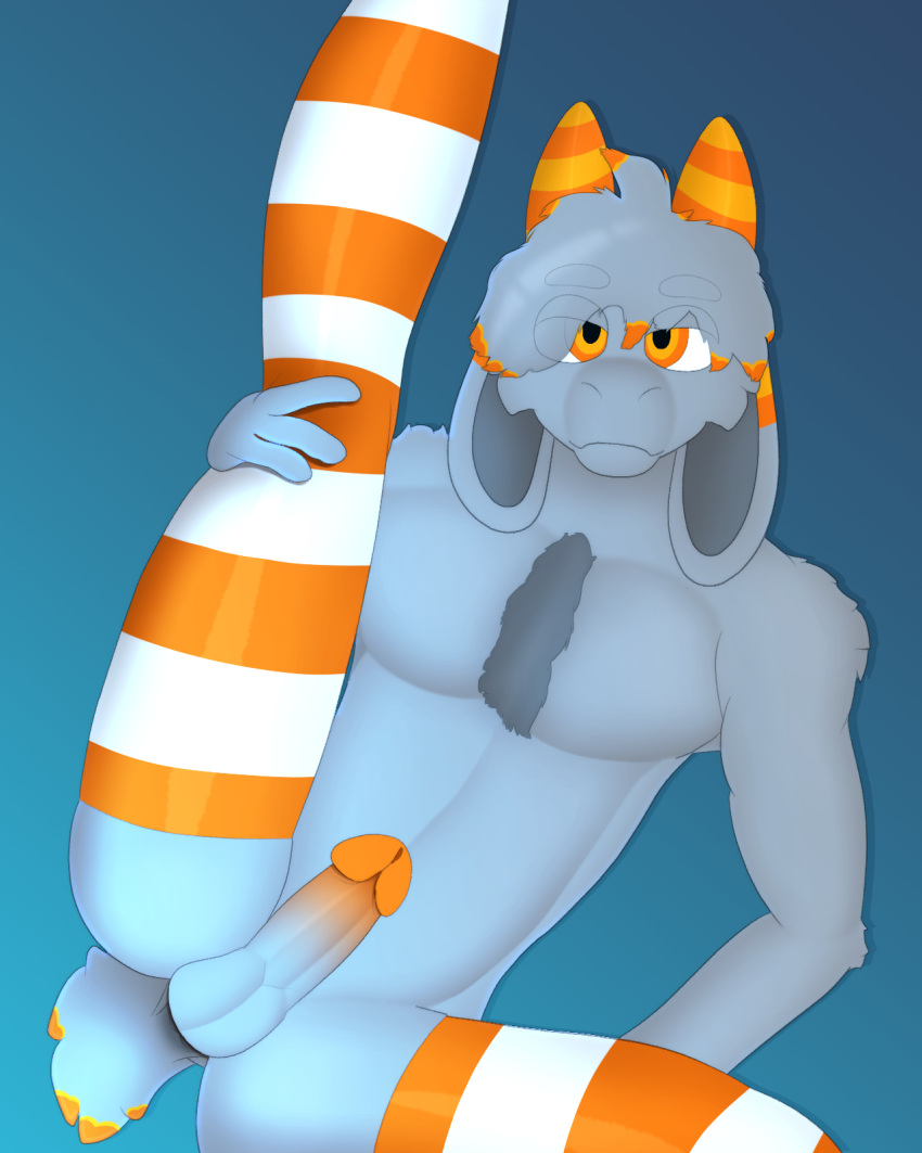 anthro anus balls body_hair bovid caprine chest_hair clothing floppy_ears fur genitals glans goat grey_body grey_fur gusta gusta_(gusta) hair hi_res horn legwear legwear_only male mammal mostly_nude orange_clothing orange_eyes orange_glans orange_horn orange_legwear orange_stripes orange_thigh_highs pattern_clothing pattern_legwear pattern_thigh_highs penis raised_leg solo striped_clothing striped_legwear striped_thigh_highs stripes tail thigh_highs thigh_highs_only