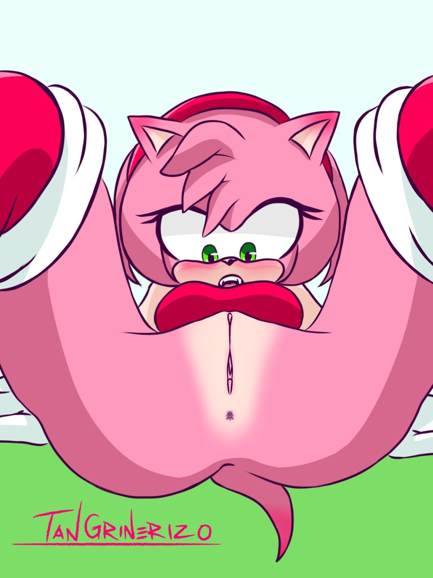 amy_rose anus furry legs_open nsfw pink_body pussy sonic_(series)