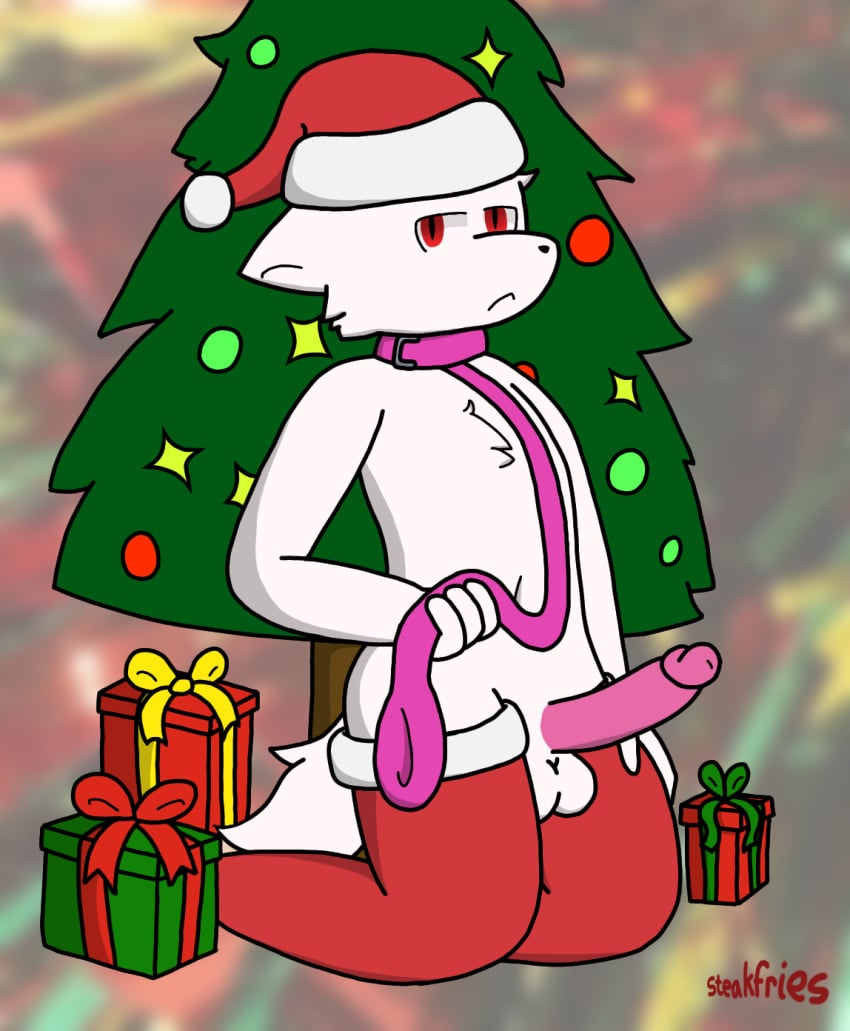 2024 anthro artist_name balls black_nose canid canine canis changed_(video_game) chest_tuft christmas christmas_clothing christmas_headwear christmas_tree clothing collar colored digital_drawing_(artwork) digital_media_(artwork) dr.k_(changed) erection genitals gift hat headgear headwear hi_res holidays humanoid_genitalia humanoid_penis kneeling leash leashed_collar legwear looking_at_viewer male mammal penis plant red_eyes santa_hat soggysteakfries solo stockings tail tree tuft wolf