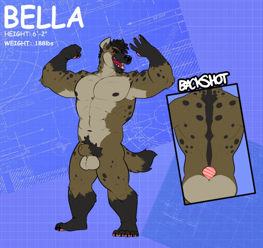 2023 abs animal_genitalia anthro balls fur genitals hi_res hyena male mammal manly model_sheet musclegut muscular nipples nude penis pubes sheath solo wildside