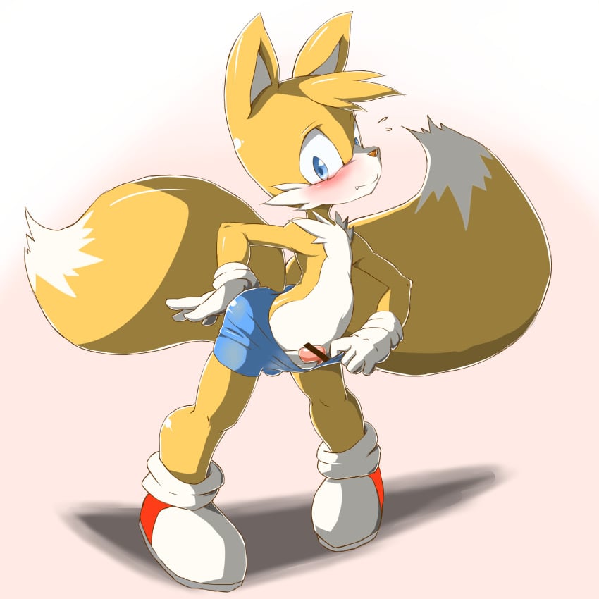 anthro blush bottomwear bottomwear_pull bulge canid canine censored clothing clothing_pull flashing fox genitals hi_res jimnydaisuki looking_at_viewer male mammal penis sega shorts shorts_pull solo sonic_(series) sonic_the_hedgehog_(series) tails tails_the_fox