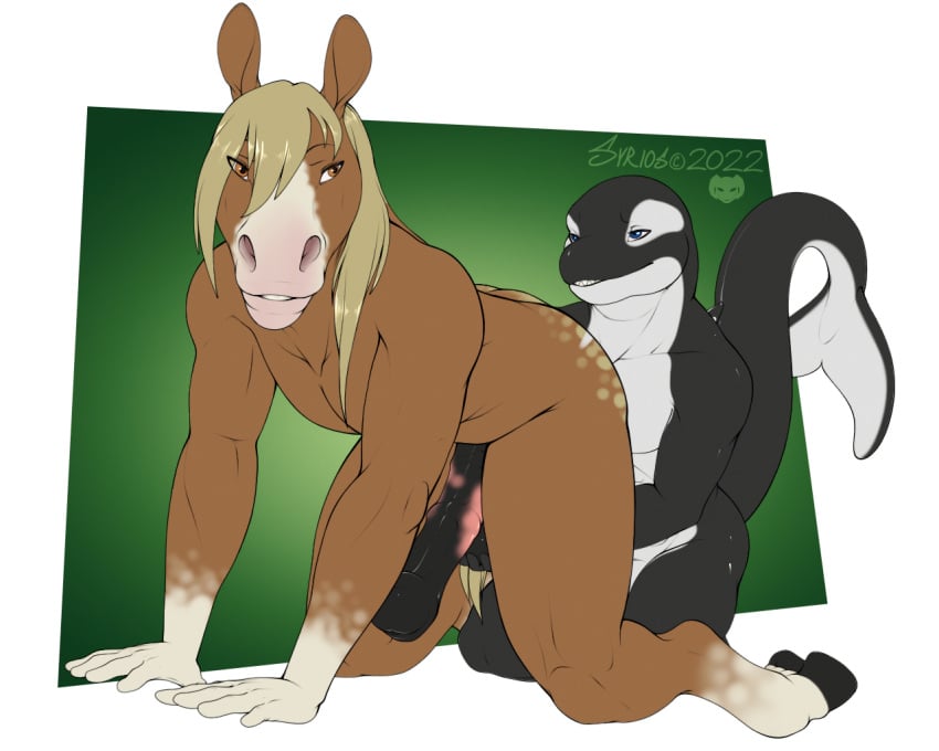 all_fours animal_genitalia animal_penis anthro balls cetacean dolphin duo equid equine equine_genitalia equine_penis erection genitals holding_balls horse kneeling male male/male mammal marine nude oceanic_dolphin orca penis raised_tail smile syrios tail toothed_whale