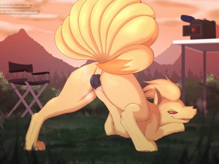 animal_genitalia animal_pussy anus ass ass_up barely_visible_anus bedroom_eyes black_nose black_pussy camera canid canine canine_genitalia canine_pussy convenient_censorship digitigrade female feral generation_1_pokemon genitals grass head_down head_down_ass_up looking_at_viewer looking_back looking_back_at_viewer mammal narrowed_eyes ninetales nintendo pawpads pink_pawpads plant pokemon pokemon_(species) presenting presenting_hindquarters presenting_pussy pussy quadruped red_eyes seductive solo tail tail_censorship video_camera vogold