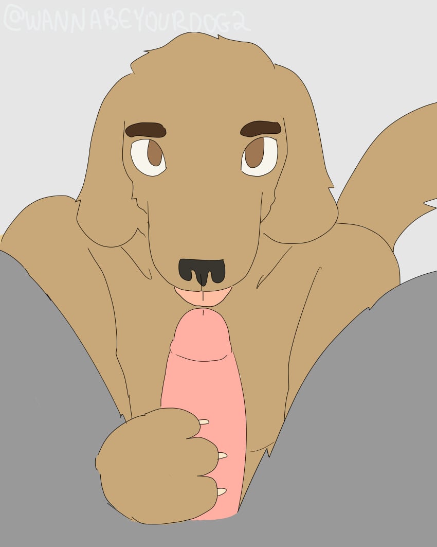 2d_animation absurd_res animated anthro blinking brown_body brown_eyes brown_fur canid canine canis domestic_dog duo erection eyebrows fur genitals hi_res holding_penis licking looking_at_viewer looking_up male male/male mammal nude oral penile penis penis_lick pink_penis sex sky_(wannabeyourdog2) story story_in_description tail tail_motion tailwag tongue tongue_out vic_(wannabeyourdog2) wannabeyourdog2
