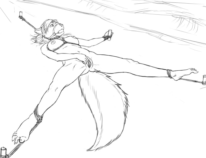 anthro_only beach bondage female furry furry_only mammal masturbation monochrome nipples noose plain_background pussy rimefox rope_bondage seaside sketch skunk solo spread_eagle spreading white_background