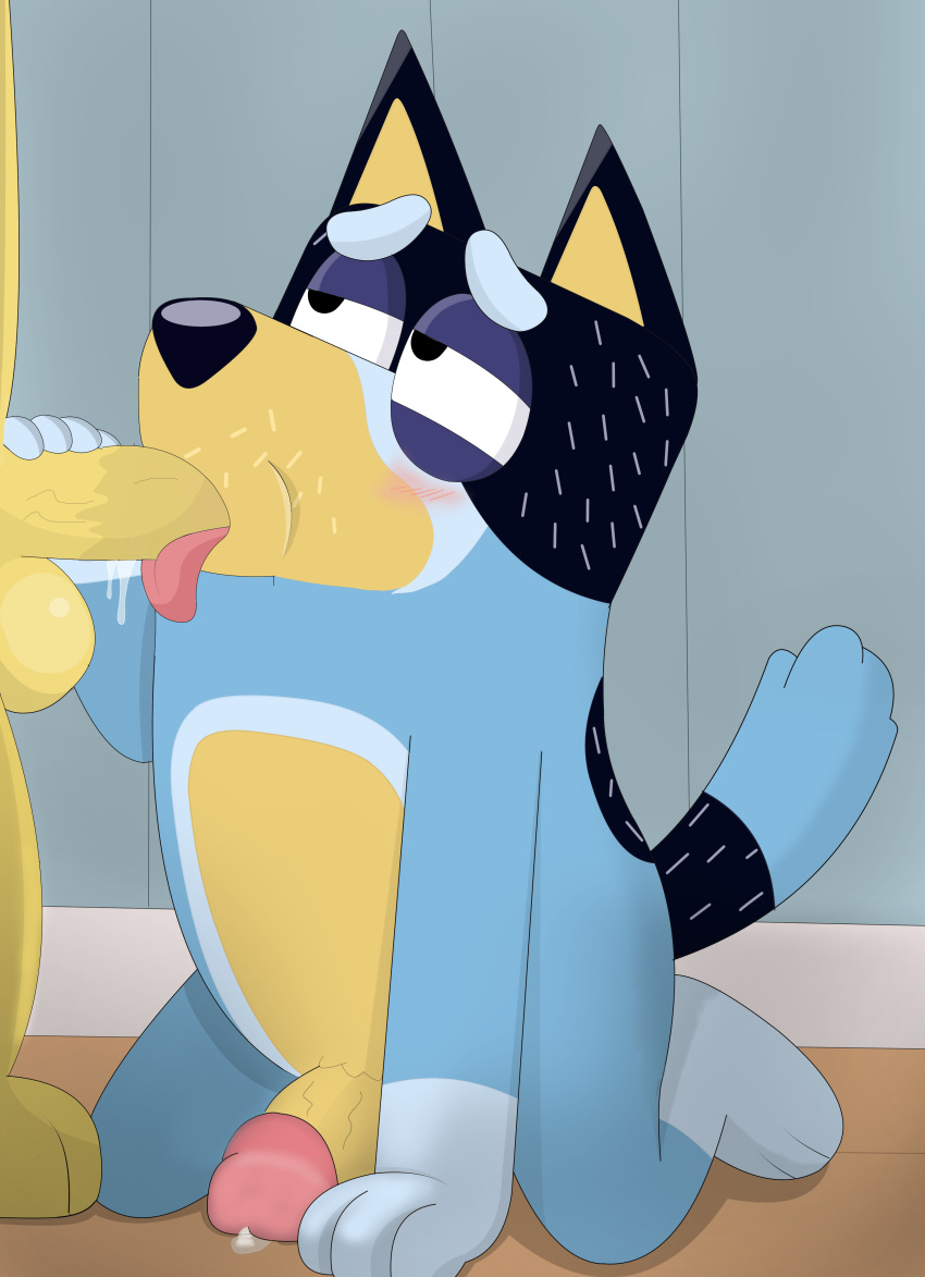 Bandit Heeler (Bluey (Series)) Rule 34 Image