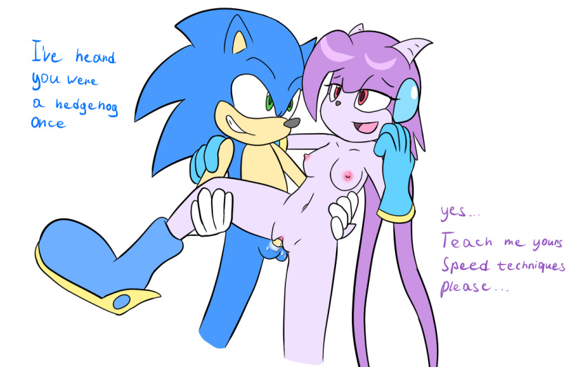 anthro boots breasts dragon duo female freedom_planet gloves goshaag hedgehog male mammal nude penis pussy sash_lilac scalie sega sex sonic_(series) sonic_the_hedgehog straight