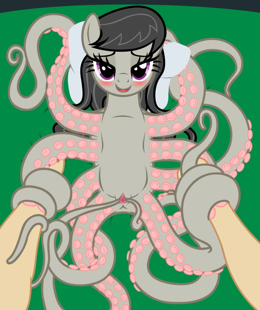 absurdres badumsquish bedroom_eyes black_hair blush cephalopod clitoris duo equine female feral friendship_is_magic grey_fur highres horse hybrid long_hair looking_at_viewer lying mammal marine my_little_pony octavia_melody octopus on_back pillow pov presenting purple_eyes pussy smile solo_focus tentacle