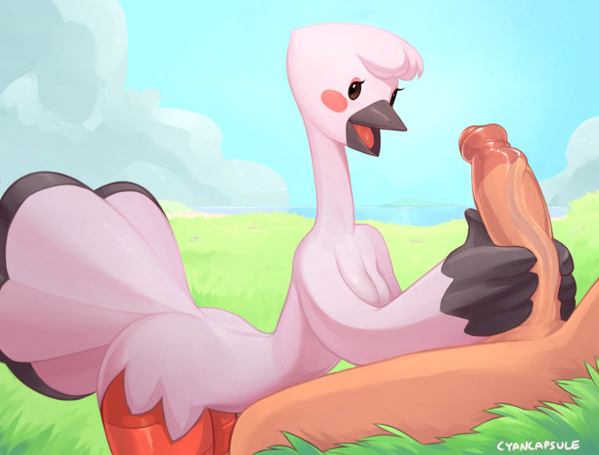 animal_crossing anthro avian beak big_penis bird bird_legs blanche_(animal_crossing) blush breasts cyancapsule duo erection female holding_penis human human_on_anthro humanoid_penis interspecies male male_human/female_anthro male_on_anthro mammal nintendo nude penis size_difference straight uncut unseen_male_face vein video_games