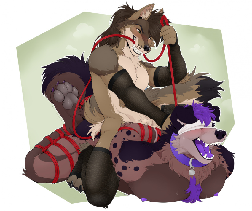 Mizuhocoyote (Character) Rule 34 Image