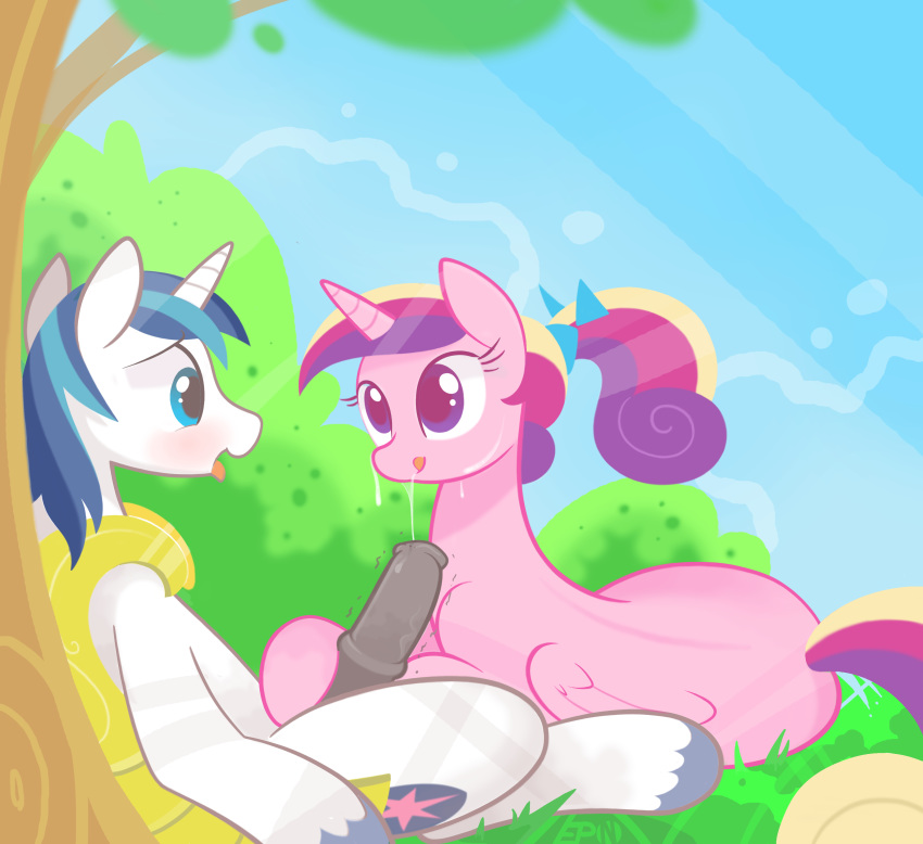 absurd_res alicorn animal_genitalia blue_eyes blush braddo cum cum_on_face cutie_mark duo equine eye_contact fellatio female feral friendship_is_magic fur hair hi_res horn horsecock lying male mammal my_little_pony open_mouth oral outside penis princess_cadance_(mlp) sex shining_armor_(mlp) straight tongue unicorn wings