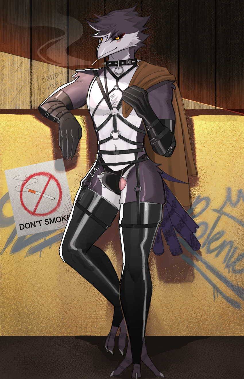 Corvus (Genus) Rule 34 Image